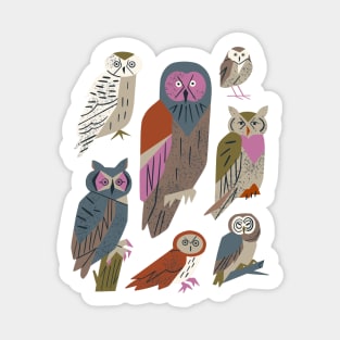 Owl Friends Sticker